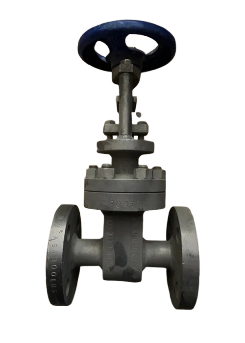 شیر دروازه ای ( Gate Valve) فرانسوی - سایز " 1 کلاس فشاری #300 جنس مونل