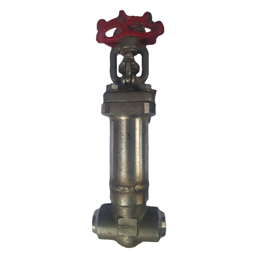 3-  شیر دروازه ای ( Gate Valve) ژاپنی (OHNO) - سایز " 1 کلاس فشاری #300 جنس استنلس 304L